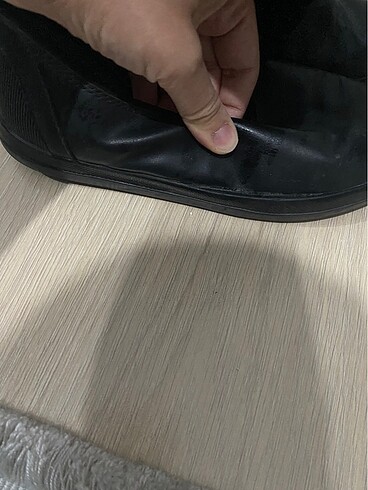 38 Beden Lacoste bot