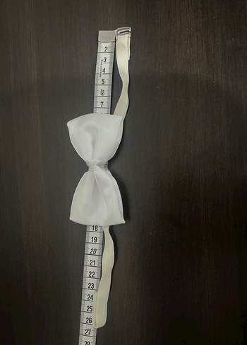 Beyaz Erkek Papyon - Görsel 3