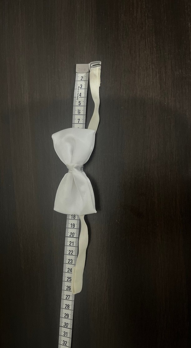 Beyaz Erkek Papyon - Görsel 3