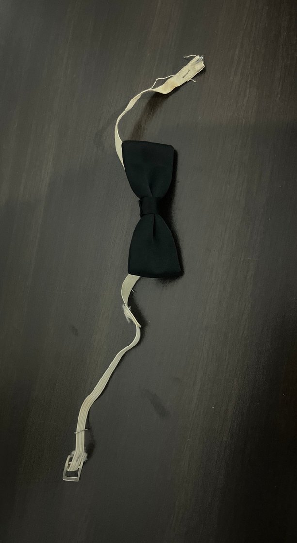 Klasik Siyah Erkek Papyon - Görsel 3