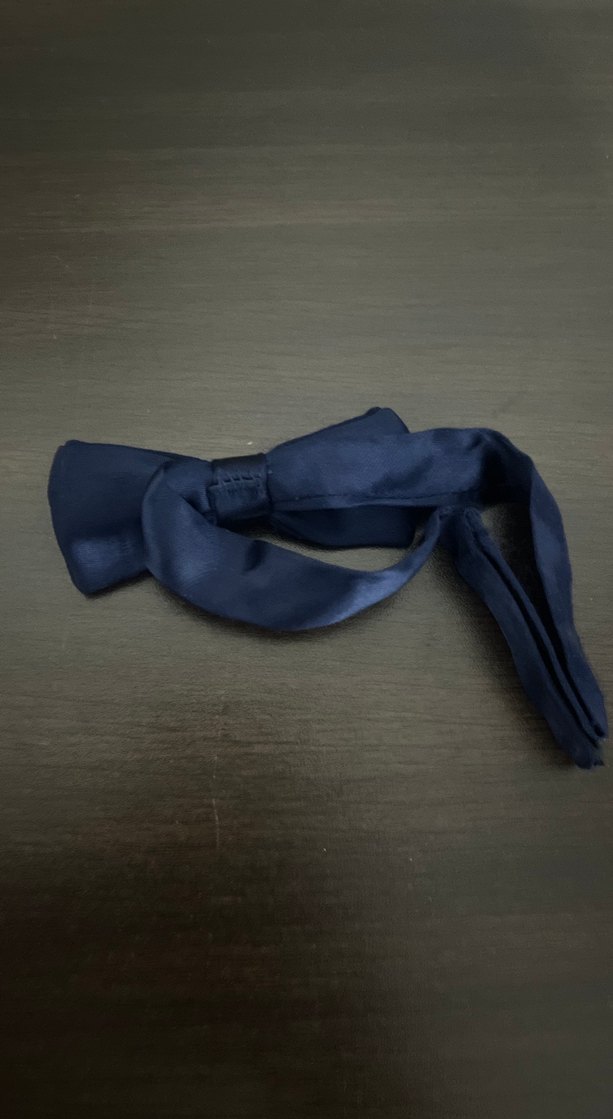 Koyu Mavi Klasik Erkek Papyon - Görsel 3