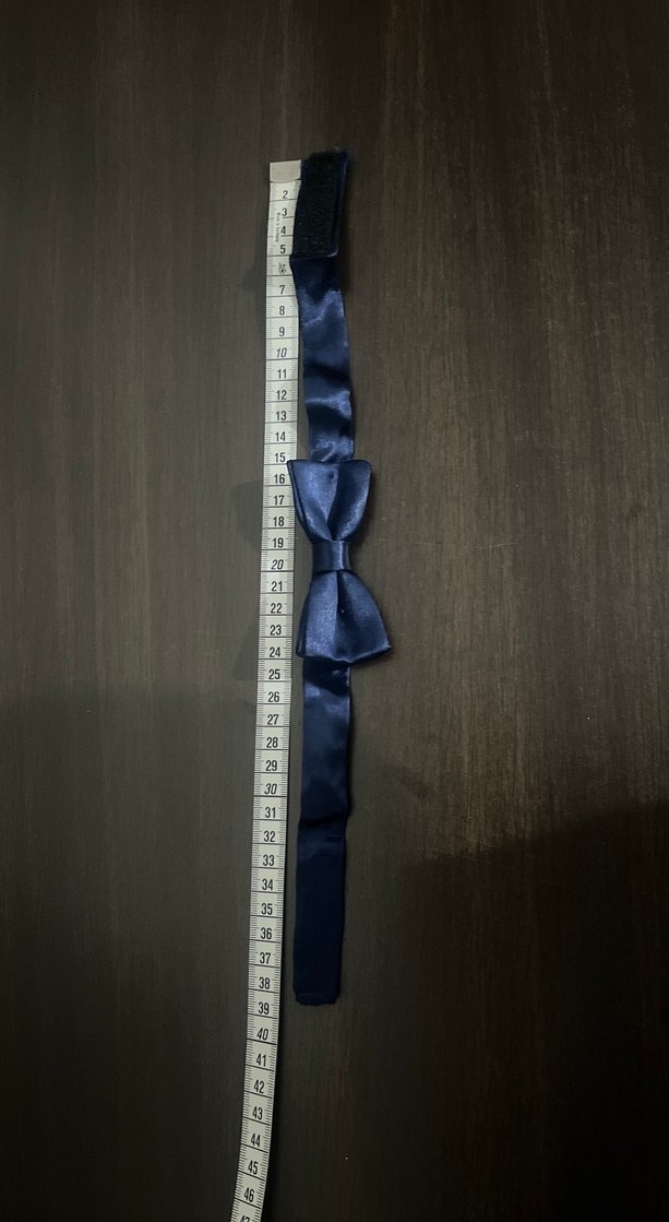 Koyu Mavi Klasik Erkek Papyon - Görsel 4