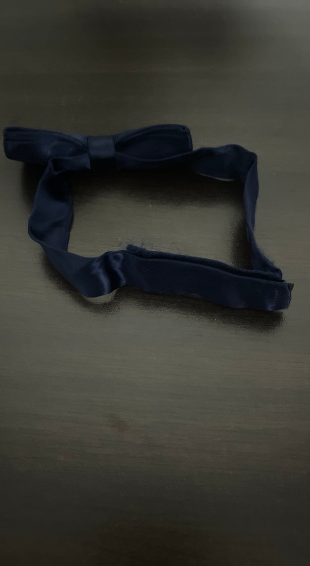 Koyu Mavi Klasik Erkek Papyon - Görsel 2