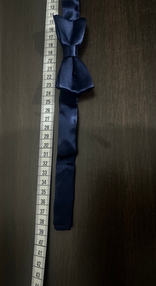 Koyu Mavi Klasik Erkek Papyon - Görsel 5