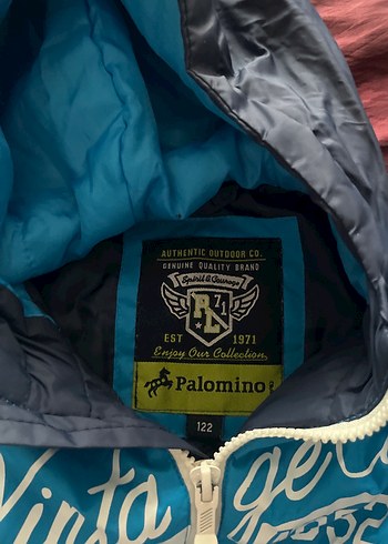 Mavi Fermuarlı Kapüşonlu Erkek Çocuk Mont - Görsel 3