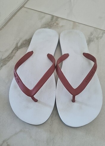 Lacoste tokyo - Görsel 2