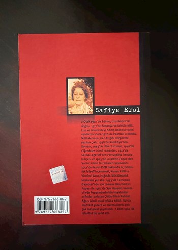Makaleler - Safiye Erol - Görsel 2