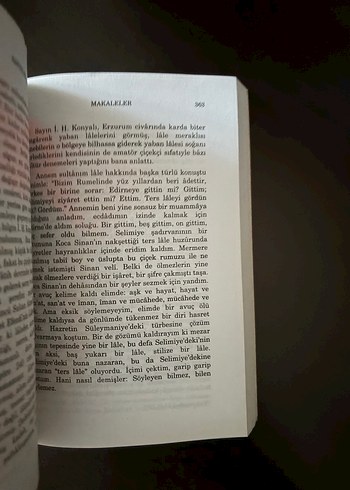 Makaleler - Safiye Erol - Görsel 4