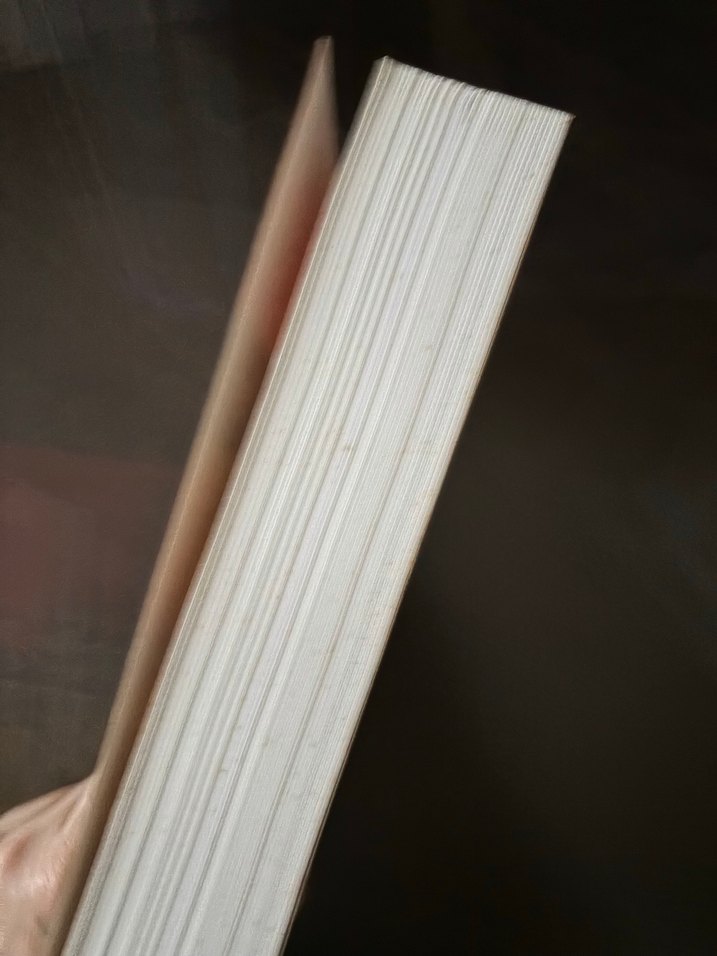 Makaleler - Safiye Erol - Görsel 3