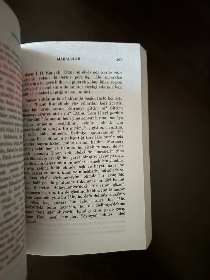 Makaleler - Safiye Erol - Görsel 4
