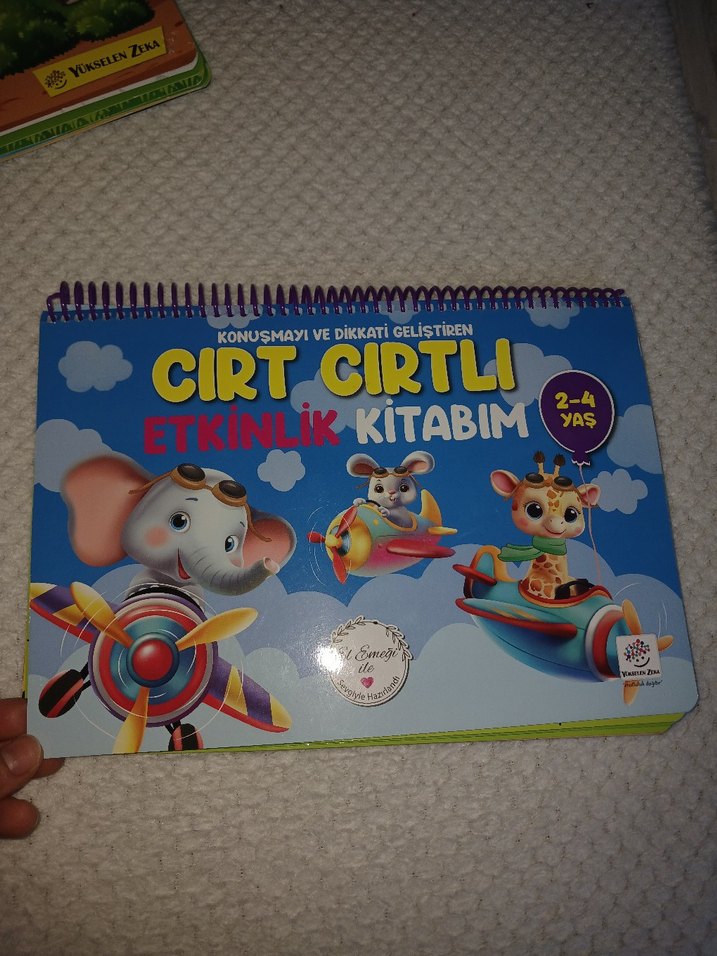 Cırt Cırtlı Etkinlik ve Eğitim Kitapları Seti - Görsel 5