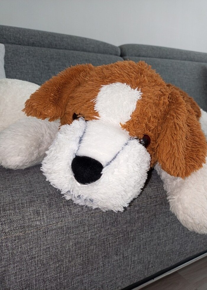 Pelin köpek - Görsel 2