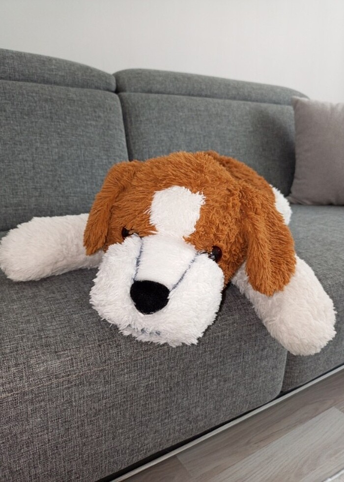 Pelin köpek - Görsel 4