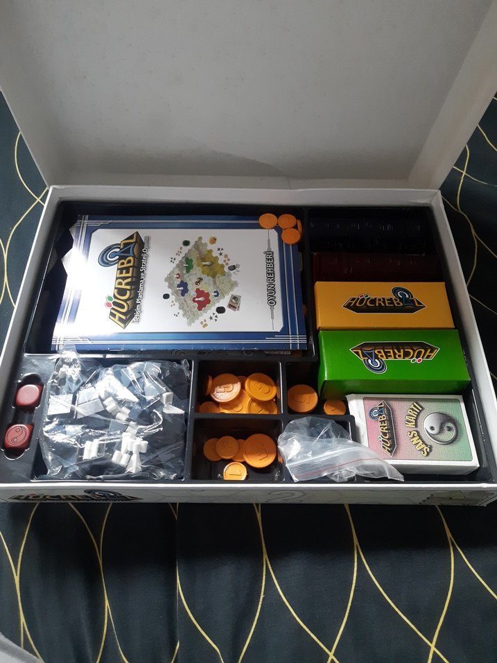 Hücrebe Strateji ve Planlama Oyunu - Görsel 3