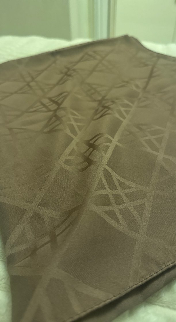 Kadın Kahverengi Minimalist Saten Şal - Görsel 3