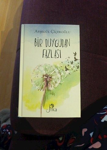 Bir Duygudan Fazlası - Ayşegül Çiçekoğlu