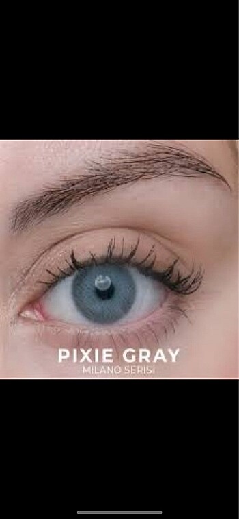 Labella pixie gray 3 aylık + solüsyon
