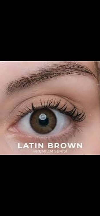 Labella latin brown 3 aylık + solüsyon