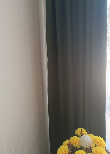 Yeşil fon perde 