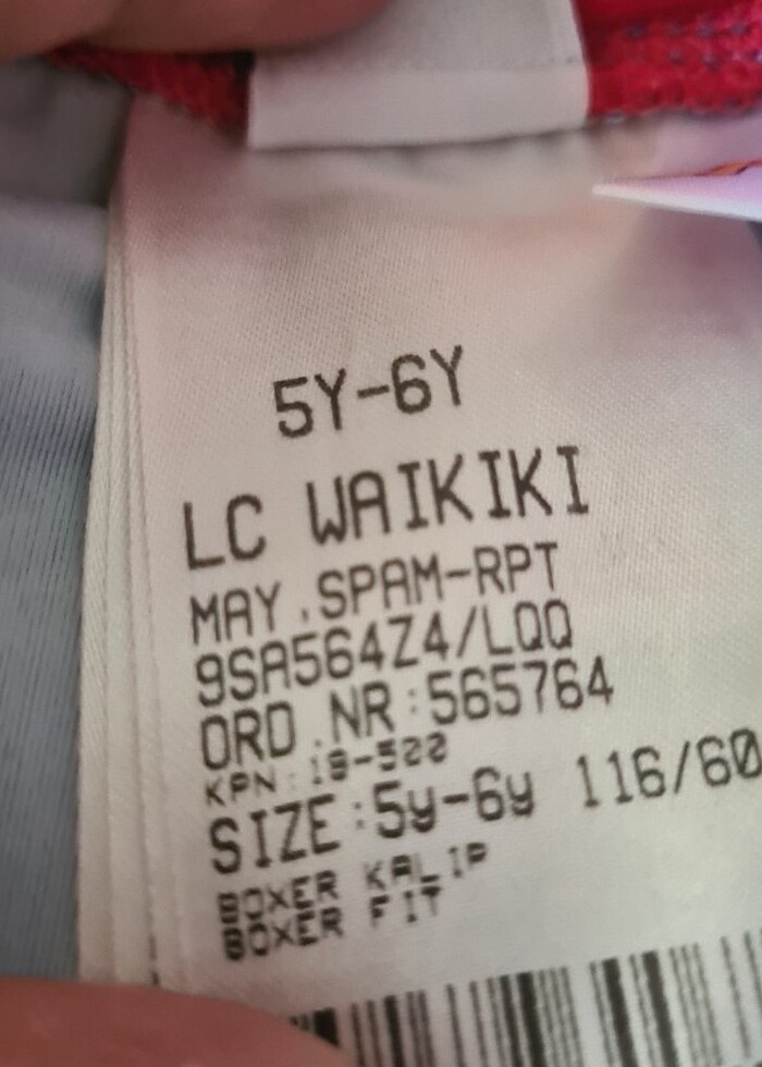 Deniz şortları - Görsel 4