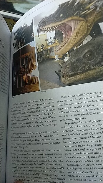  Beden Harry Potter 