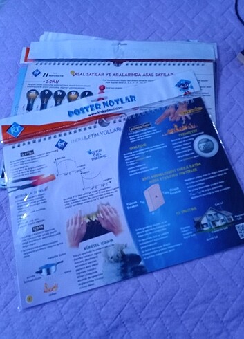  Beden Renk Tyt Ders Notu Posterleri 