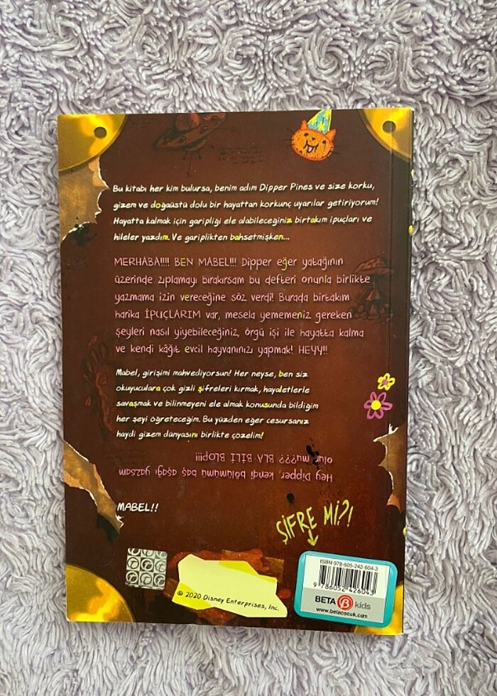 Esrarengiz Kasaba kitap  - Görsel 2