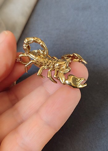 Saf Pirinç Akrep Model Kolye Ucu - Görsel 6