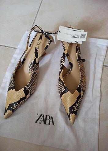 ZARA AYAKABBİ