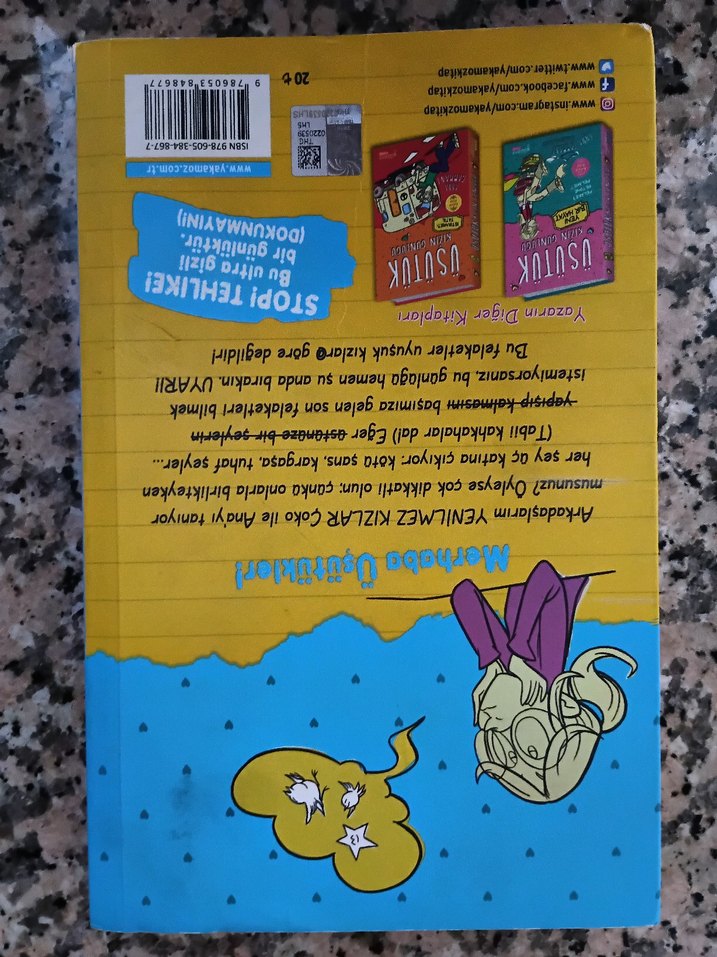 Üsütük Kızın Günlüğü - Anna Cammany - Görsel 2