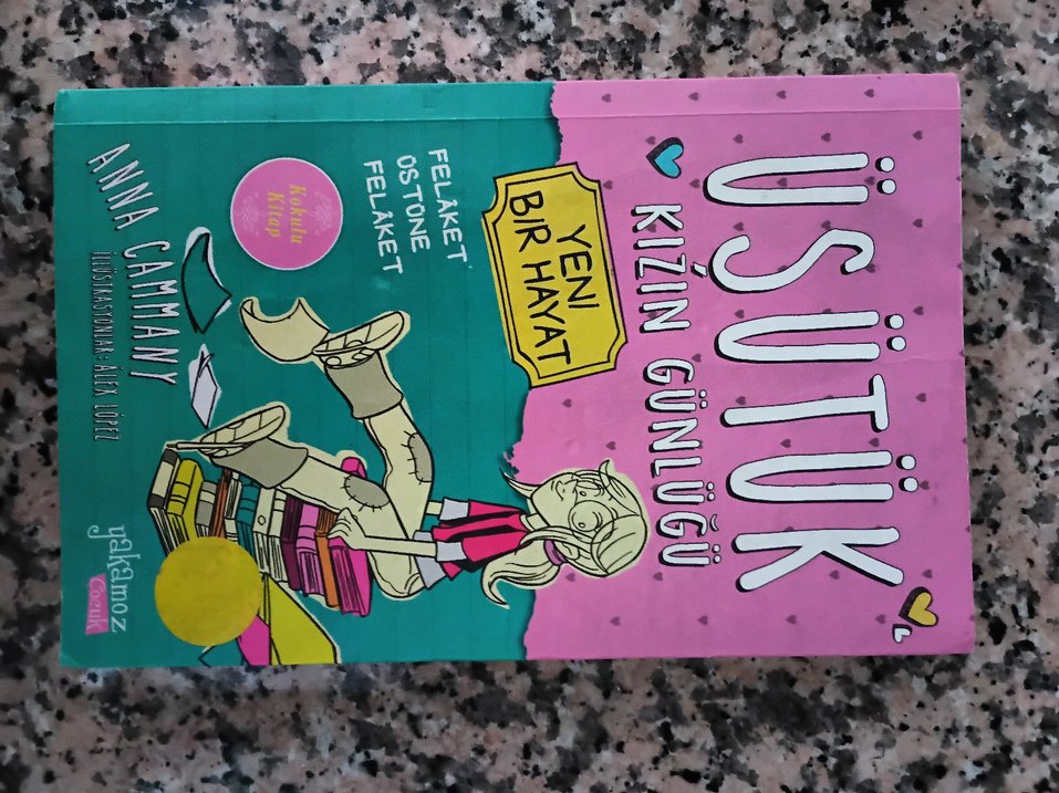 Üsütük Kızın Günlüğü - Anna Cammany - Görsel 3