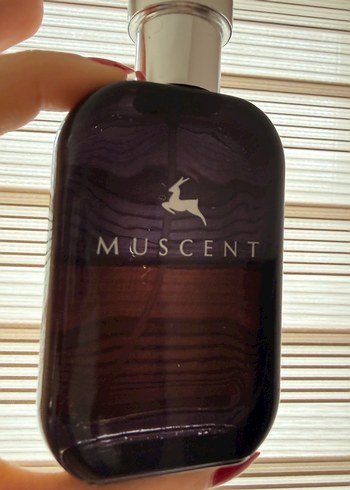 Muscent delina exclusif n160 - Görsel 2