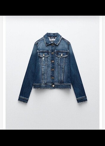 Zara Zara lot ceket