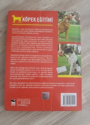 Diğer Köpek Eğitimi***