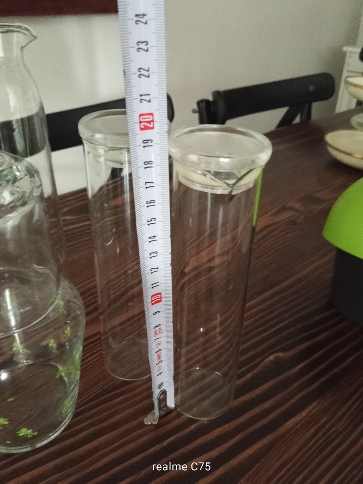 Beyaz ve Şeffaf Cam Sürahi ve Kavanoz Seti - Görsel 4