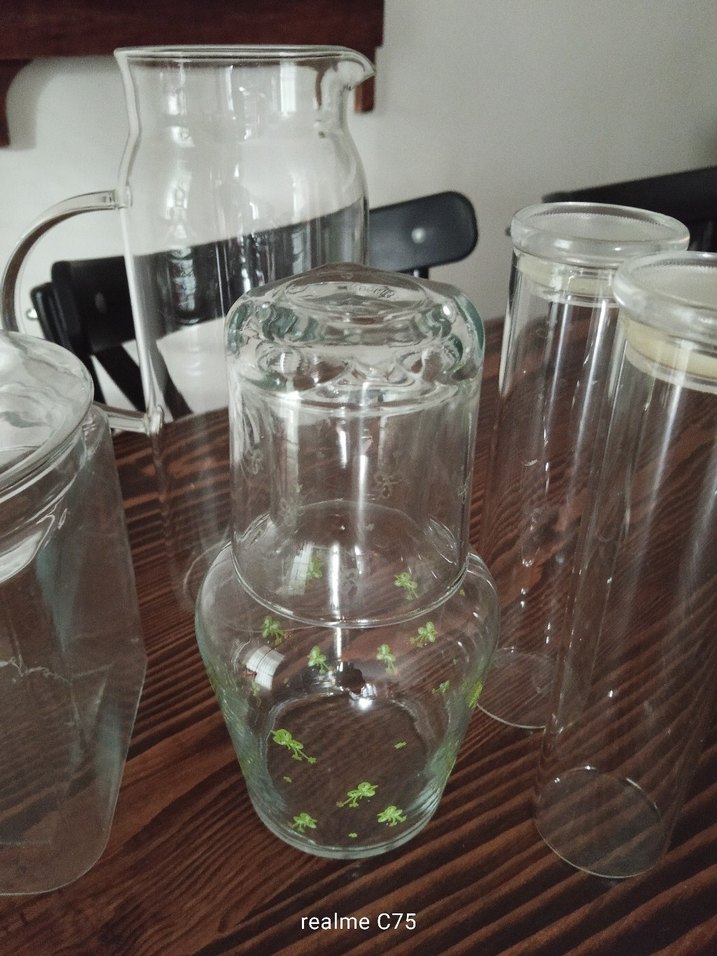 Beyaz ve Şeffaf Cam Sürahi ve Kavanoz Seti - Görsel 3