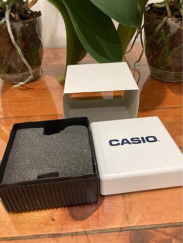 Casio saat kutusu
