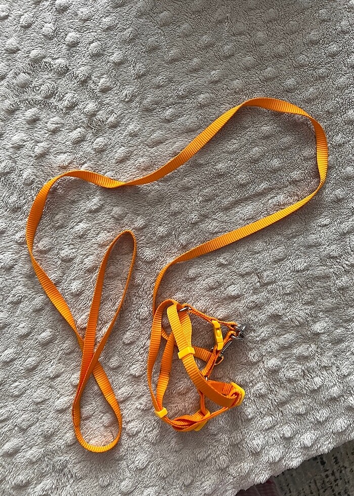 Kedi köpek taşıma ipi - Görsel 3