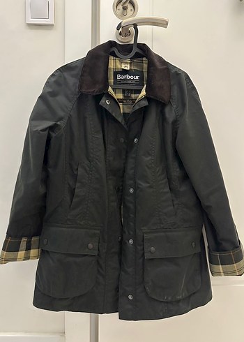 Barbour 36