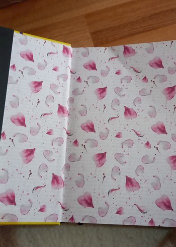 Kül - Shani Petroff & Darci Manley - Görsel 2