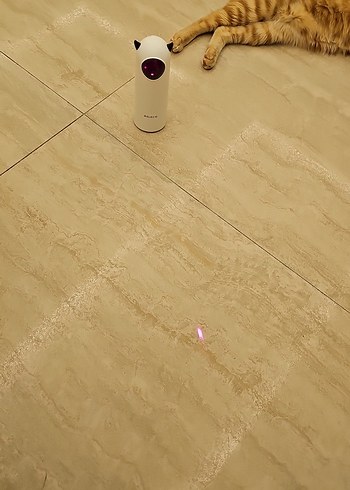 OTOMATİK KEDİ LAZER OYUNCAĞI - Görsel 6