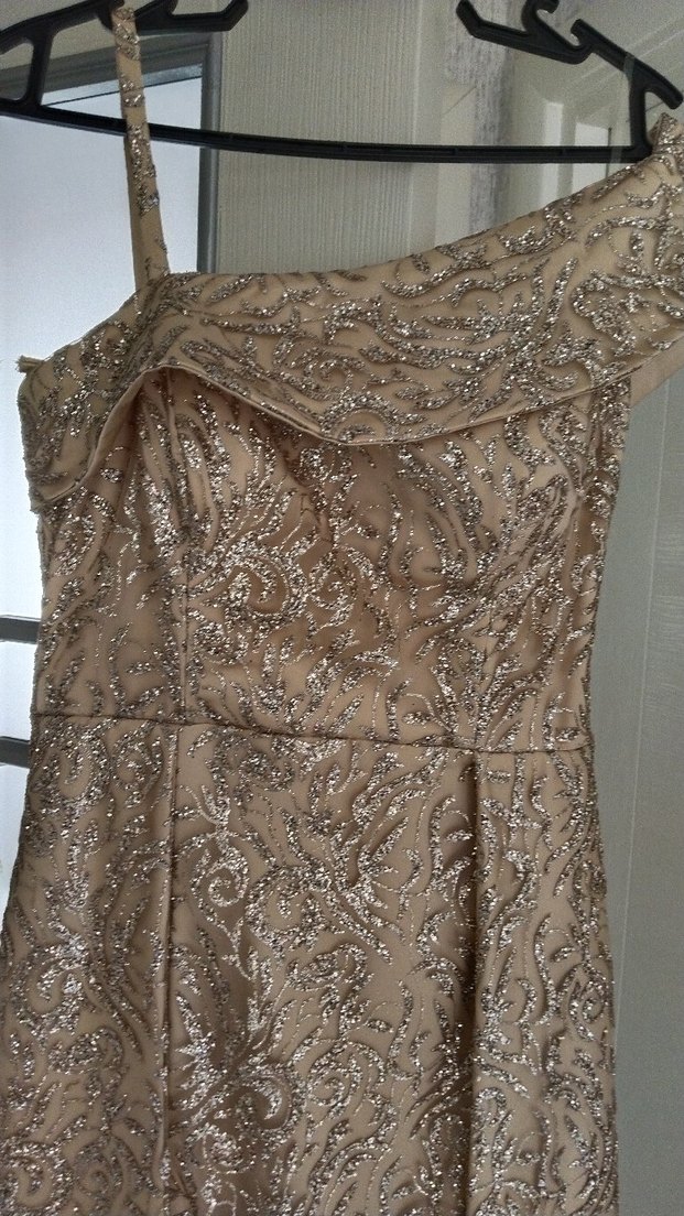 Bej İşlemeli Uzun Abiye Elbise - Görsel 5