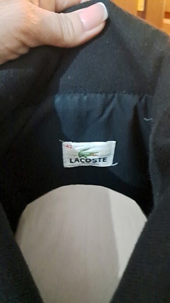 xl Beden Orjinal lacoste mont