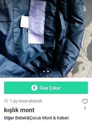 Diğer kışlık mont 