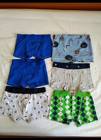 Boxer 