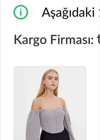 Gri Kadın Fermuarlı Bol Kesim Büstiyer Korse - Görsel 3