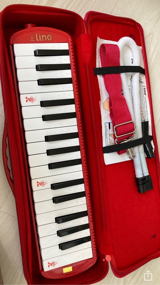 Kırmızı 32K Melodica Çantası Velcro Kapamalı - Görsel 2