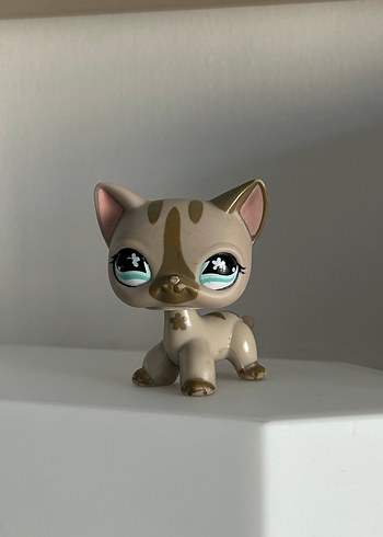 LPS Minisler Shorthair