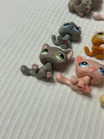 Beden Renk LPS Minisler Orijinal Shorthair Kedi Tabby Collie