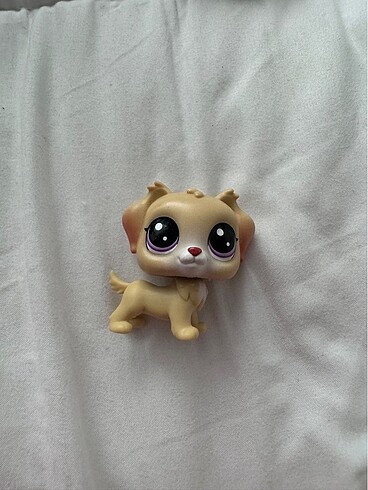 lps köpek miniş